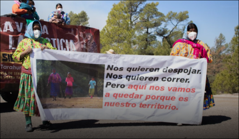 Los ecos de indignación indígena: Mogótavo exige justicia id noticias