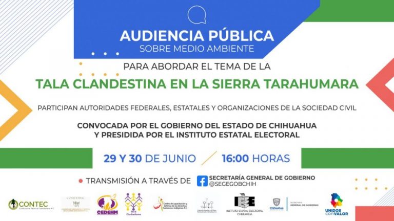 Rendirá cuentas Gobierno de Chihuahua por tala clandestina en la Sierra Tarahumara