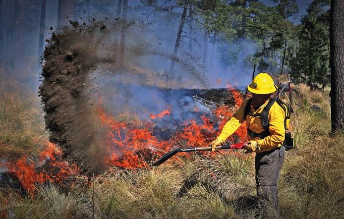 Incendios en la Sierra Tarahumara a la baja; CONAFOR
