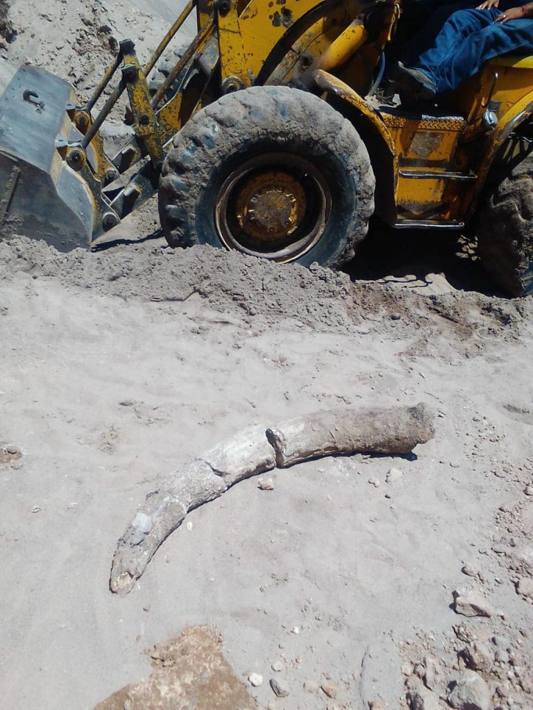 Agricultores hallan restos óseos en Estación Consuelo