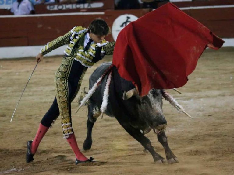 Juez suspende temporalmente las corridas de toros en la CDMX