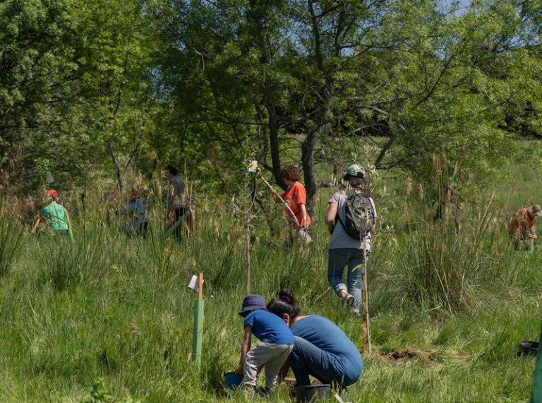 China: geólogos hallan bosque oculto en sumidero; buscan nuevas especies de flora y fauna