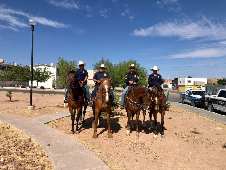 Detienen a cinco durante operativo “24 Horas en tu Barrio” en Riberas de Sacramento