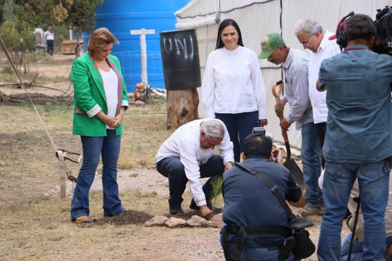 Anuncia AMLO aumento del jornal de Sembrando Vida