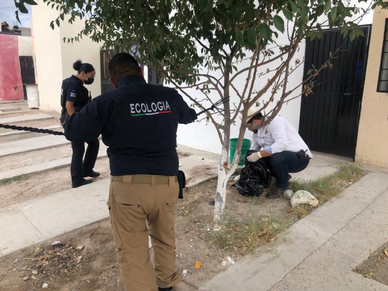 Otorga juez prisión preventiva y vincula a proceso a hombre por matar e intentar comerse una perrita