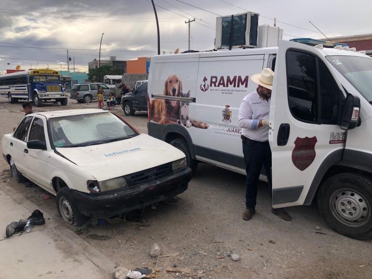 Vinculan a proceso a hombre detenido por comerse un perro
