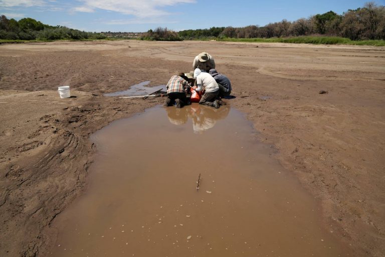 Se seca el río Bravo y ya hay especies en peligro