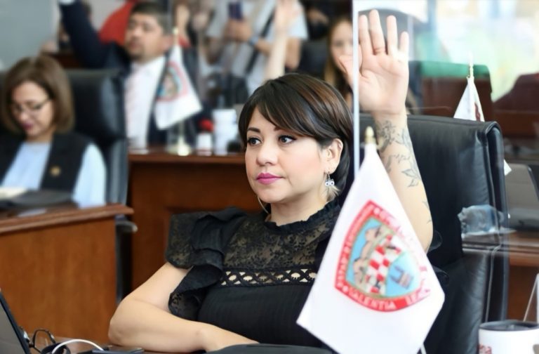 Promueve diputada Ozaeta consulta permanente a personas con discapacidad