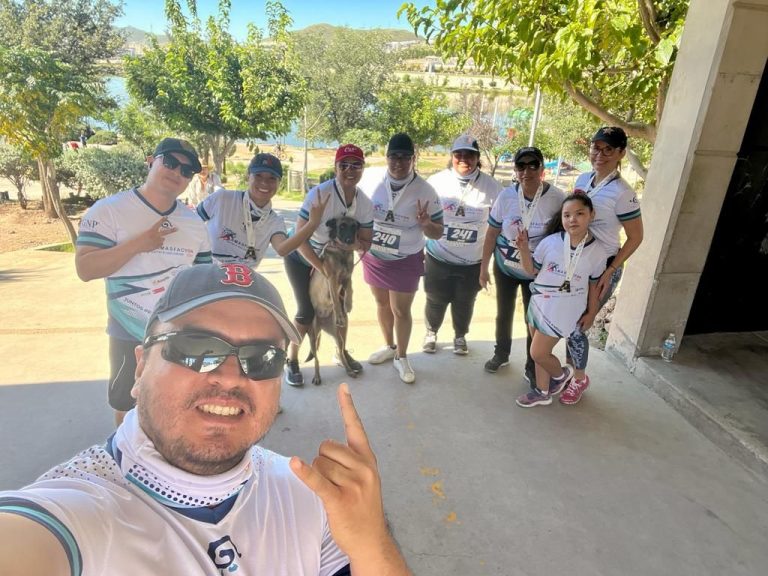 Chihuahua en movimiento