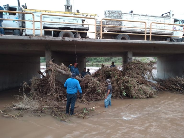 Retiran maleza y árboles en cauce de arroyo para evitar taponamiento