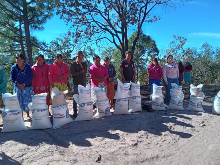 Reciben 900 paquetes alimentarios familias de 38 comunidades indígenas de Guadalupe y Calvo