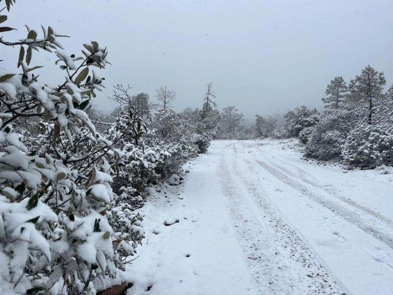Bajas temperaturaturas se pronóstican nevadas