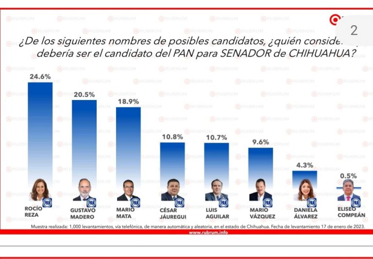 Así va la caballada panista por el senado
