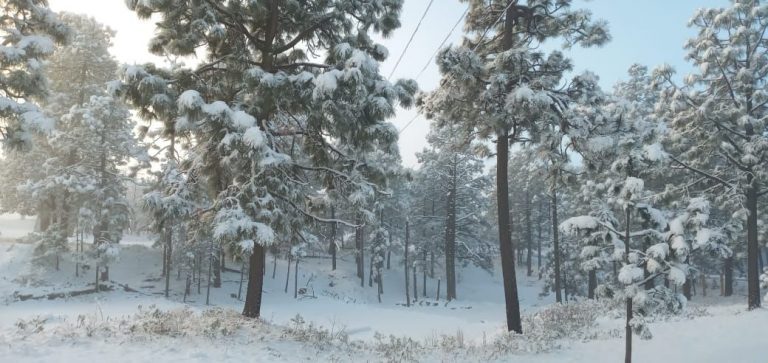 Continúa la caída de nieve  en diversos municipios del estado