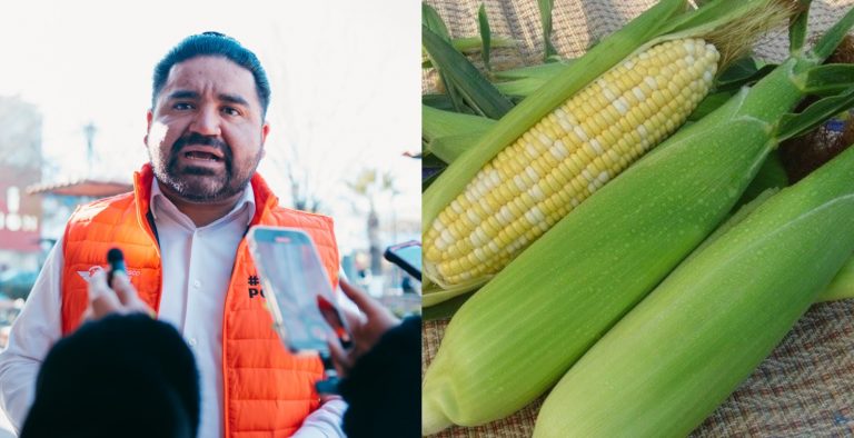 Precio de la tortilla llegará hasta 35 pesos: Francisco Sánchez