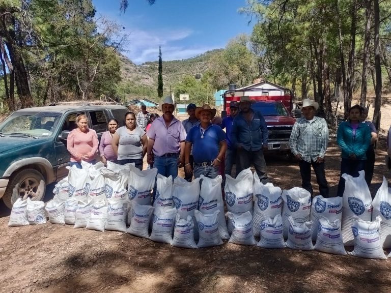 Distribuyen más de 6 toneladas de apoyos alimentarios a comunidades indígenas de Guazapares