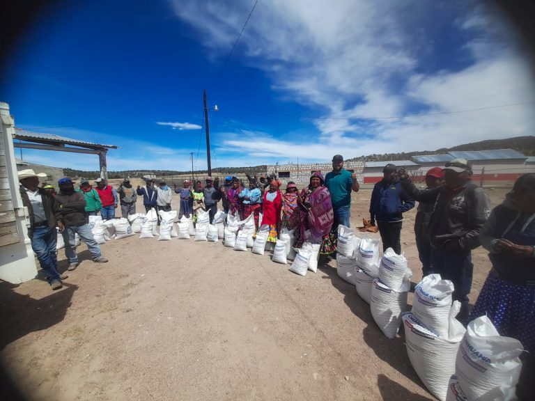 Entrega SPyCI apoyos alimentarios en comunidades indígenas de Carichí