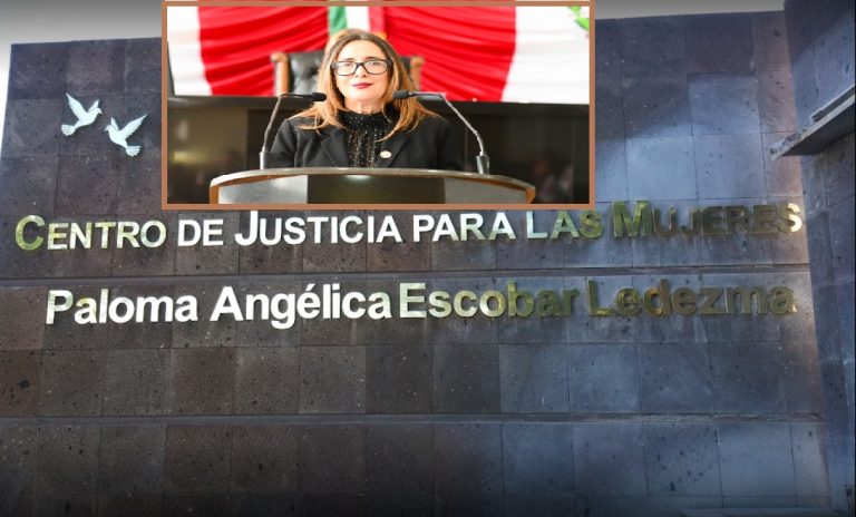 Que Gobernadora y Hacienda destinen suficiente presupuesto a la Justicia para las Mujeres: Diputada Ortega