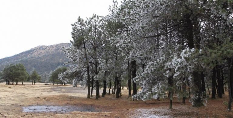 Este domingo Bocoyna, Guachochi, Balleza, Temósachic y Madera tendrán temperaturas de -2 a -6 grados centígrados