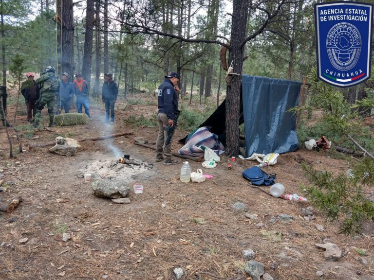 Destruye Operativo Conjunto dos campamentos en Guachochi