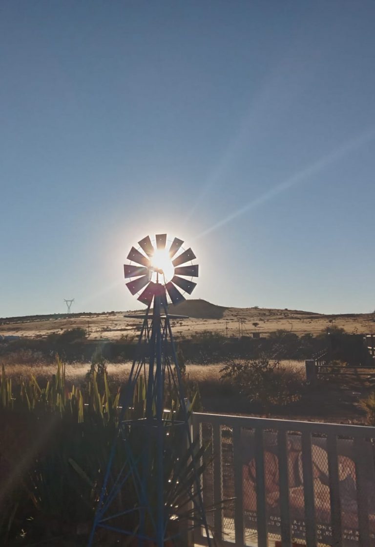 Increíble: llega el calor en pleno invierno