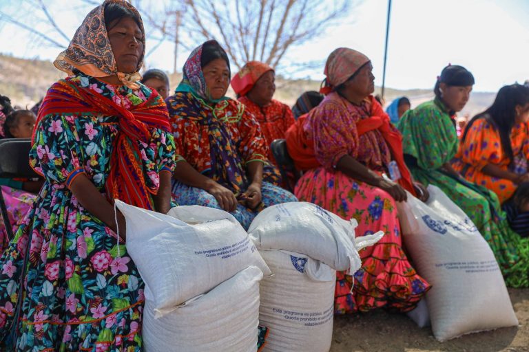 Avanza estrategia contra la sequía con entrega de 96 toneladas de alimento en Carichí