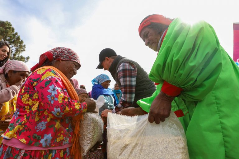 Estrategia “Juntos por la Sierra Tarahumara” beneficia a 5 mil familias