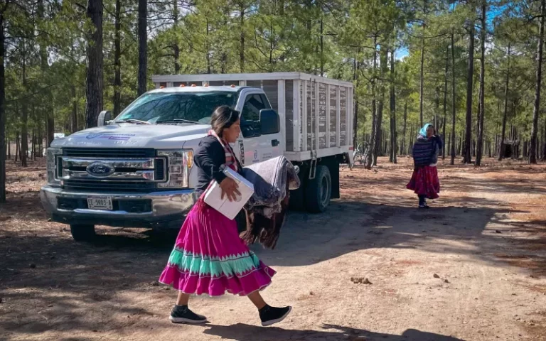 Lleva Estado apoyos a 120 familias de la comunidad de Pitorreal en Bocoyna
