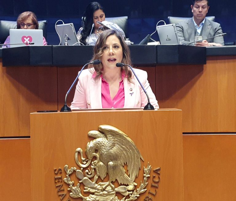 «Nada qué conmemorar en el día Internacional de la mujer»: Senadora Cruz Blacklenge