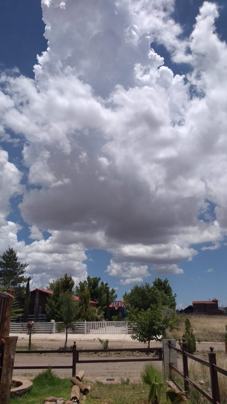 Mantienen alerta preventiva por pronóstico de fuertes vientos en el estado