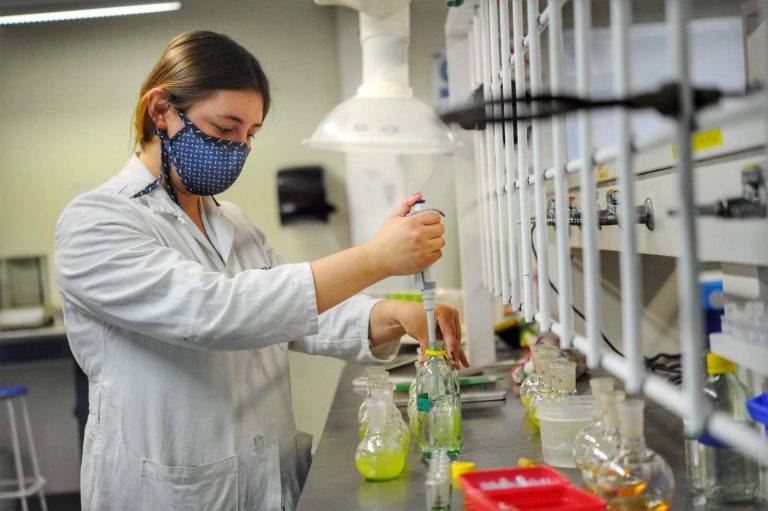 Participa UACH en Diplomado en materia de perspectiva de género con la Embajada Francesa.