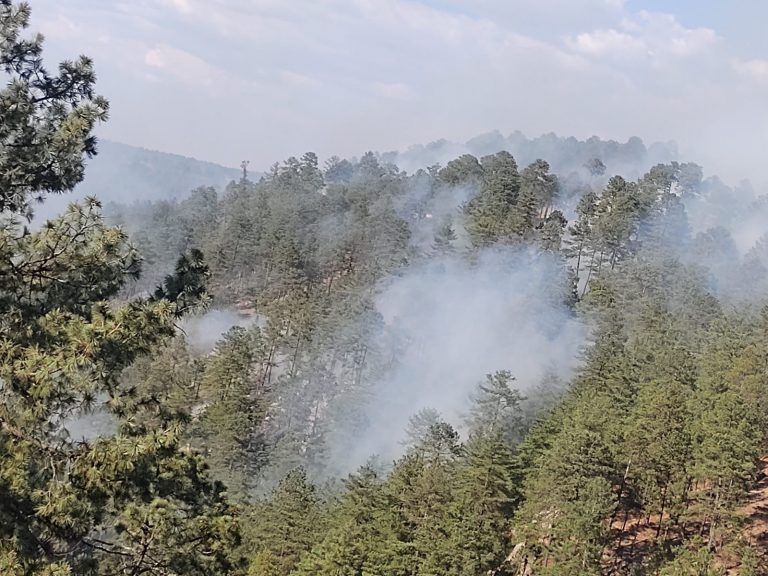 Emiten recomendaciones para evitar incendios forestales durante temporada vacacional
