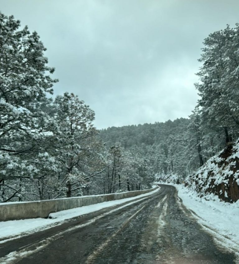 Reporta CEPC caída de nieve en 3 municipios ante el desplazamiento de la Novena Tormenta Invernal