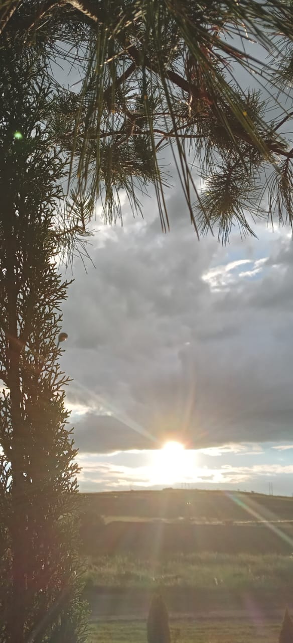 Mejora clima en la entidad