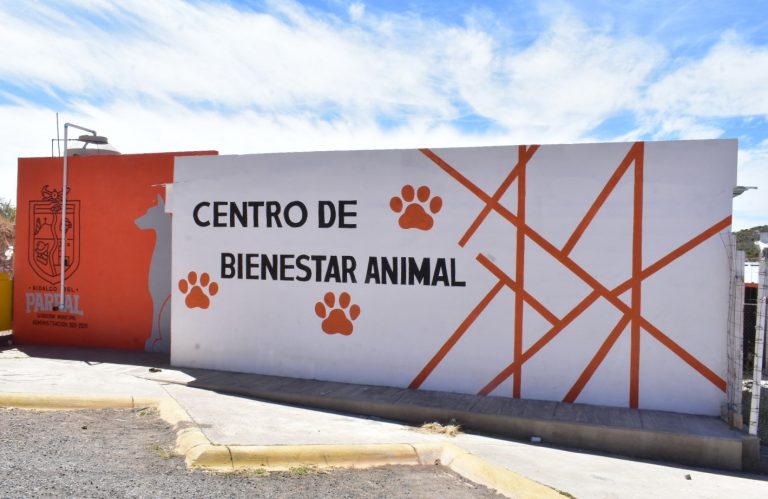 Mejora Parral la infraestructura del Centro de Bienestar Animal “Proteo”