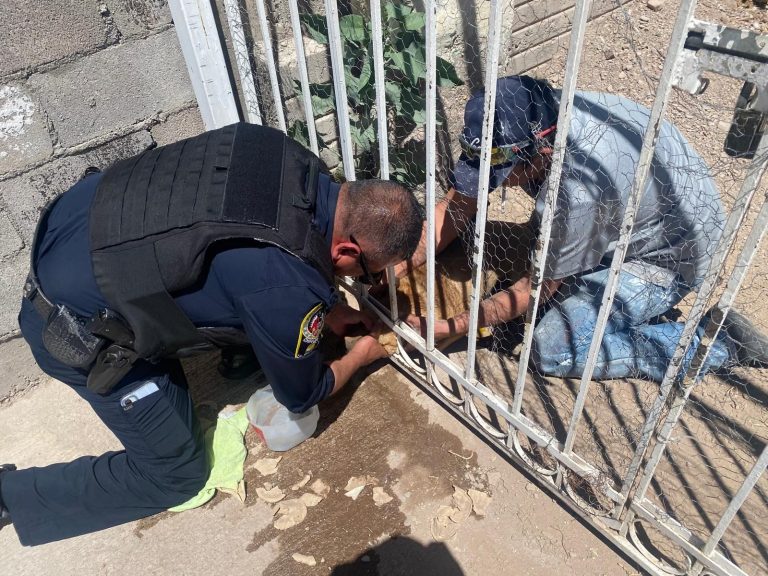 Ayudaron policías municipales a rescatar a perrito atrapado