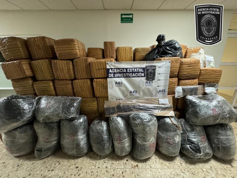 En cateo, aseguran más de una tonelada de droga en la colonia Minerales