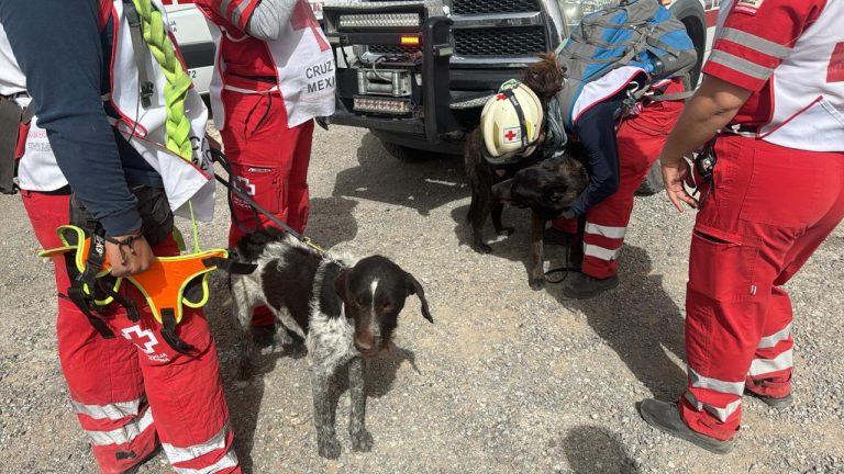 Despliegan operativo para la búsqueda de migrantes extraviados en Samalayuca