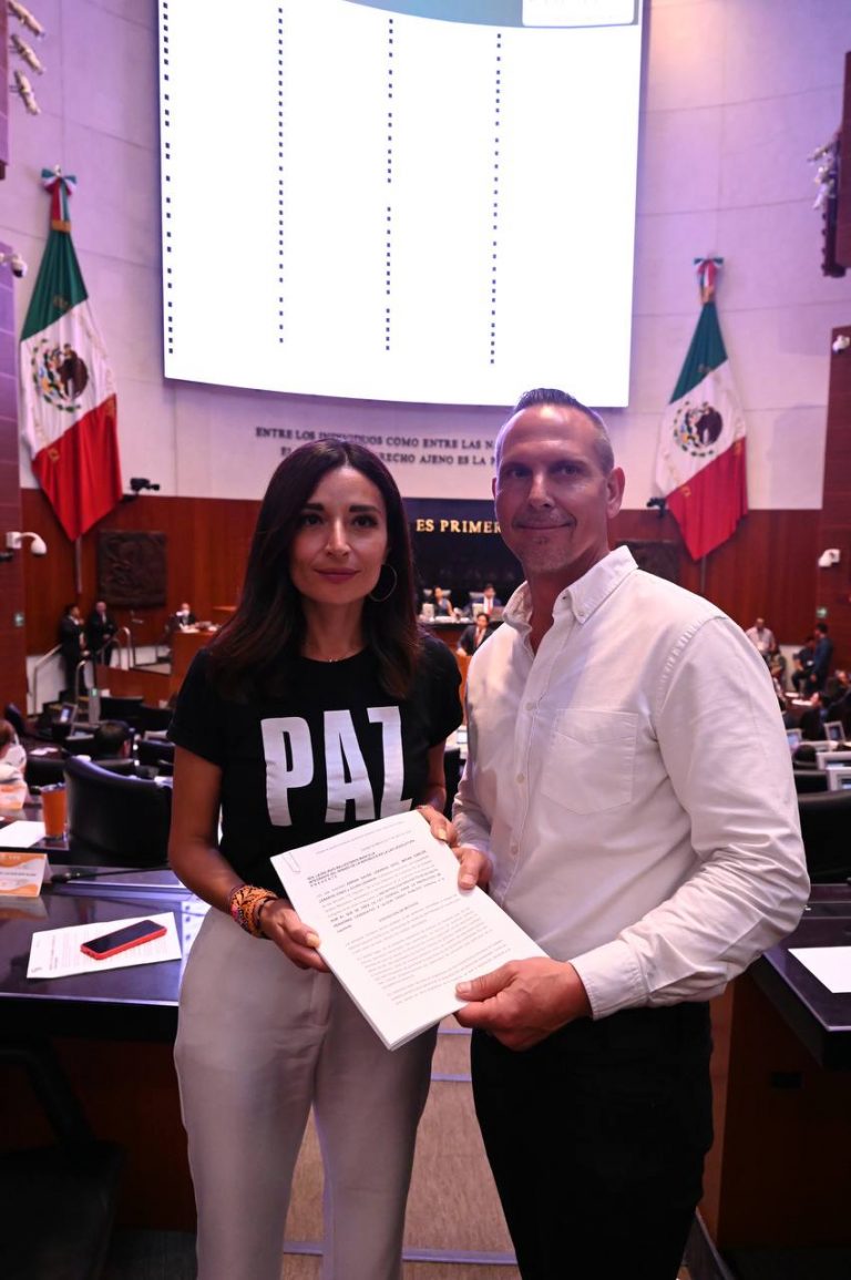 Presentan en Cámara de Diputados ley para protección a personas candidatas