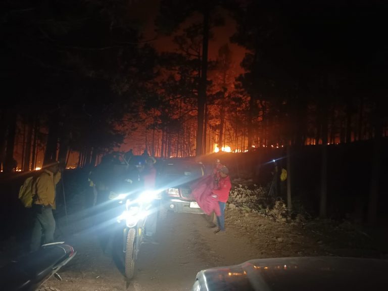 Participan 320 brigadistas en el combate de 15 incendios forestales activos en el estado