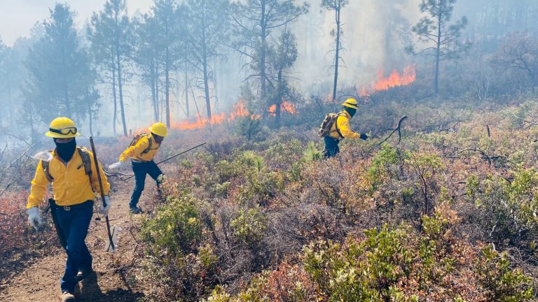 Continúan acciones contra incendios forestales en la zona serrana