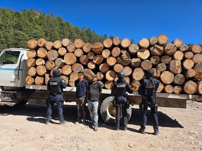 Vinculan a proceso a tres detenidos por delitos contra el medio ambiente en Guachochi