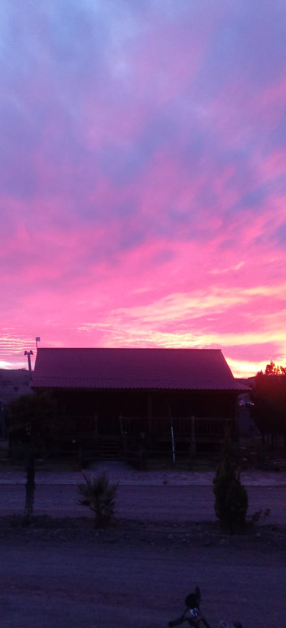 Altas temperaturas y rachas de viento para este lunes