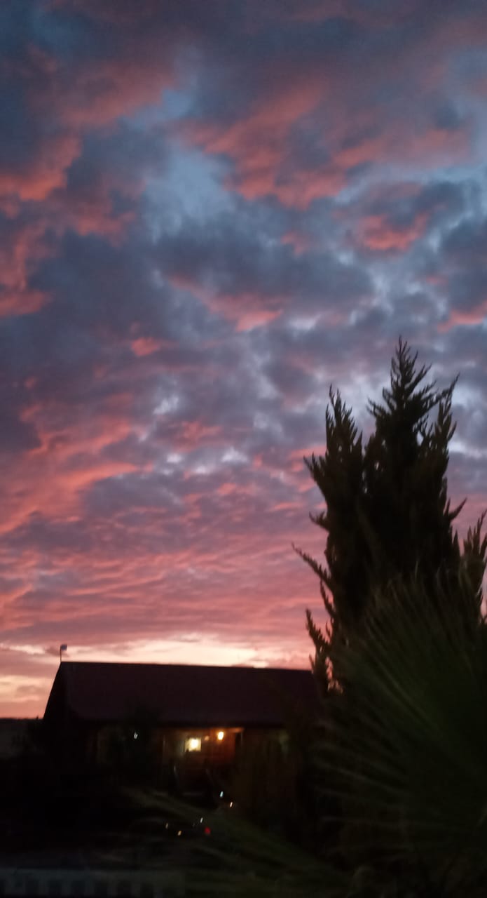 Alerta por pronóstico de fuertes vientos en el estado para próximos días