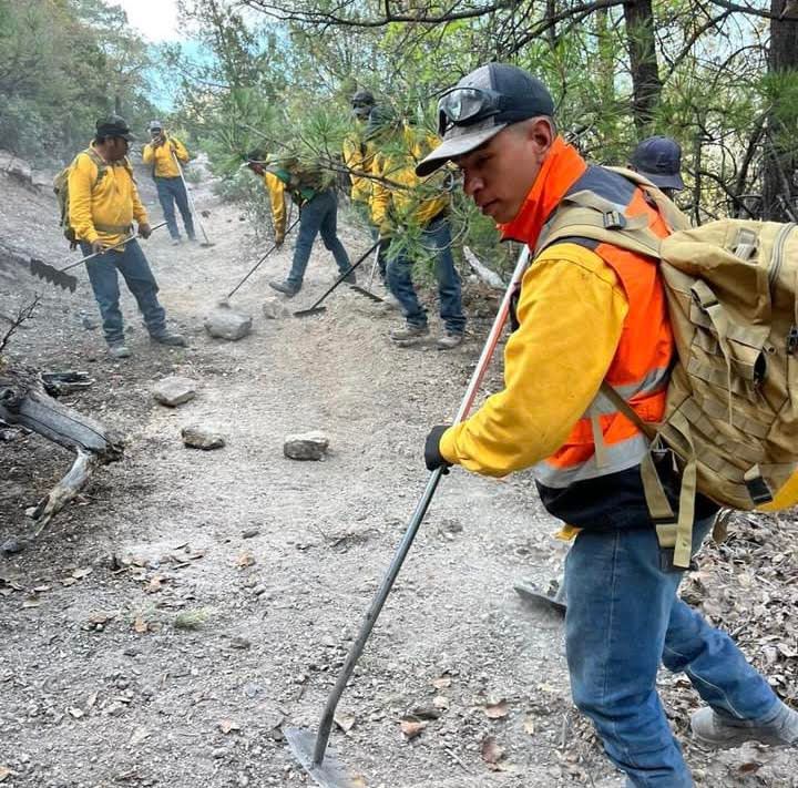 Combaten más de 200 brigadistas incendios forestales activos en la Sierra Tarahumara