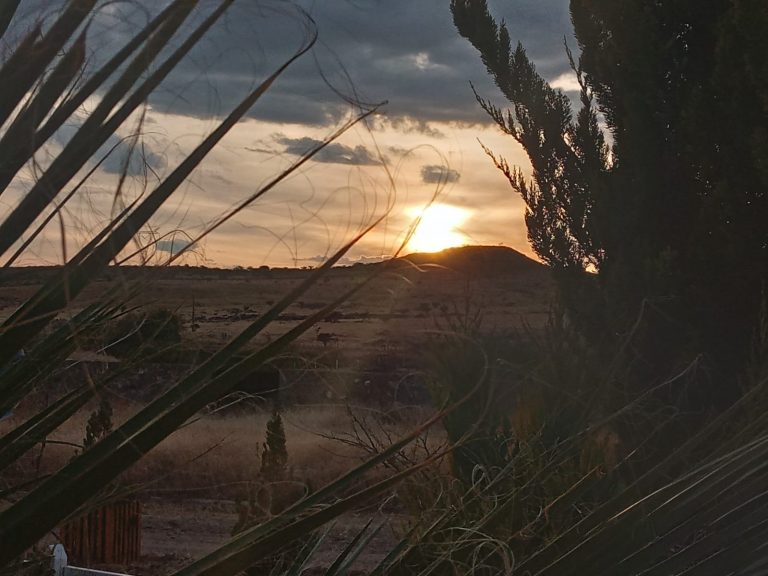 Caluroso fin de semana con máxima de 35°C y fuertes vientos