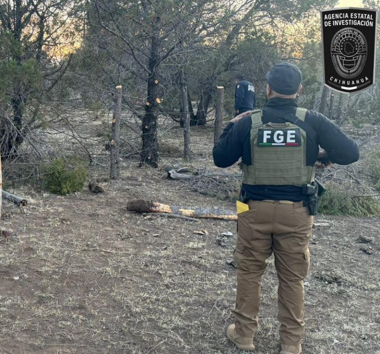 Localizan restos óseos en un rancho del municipio de Madera