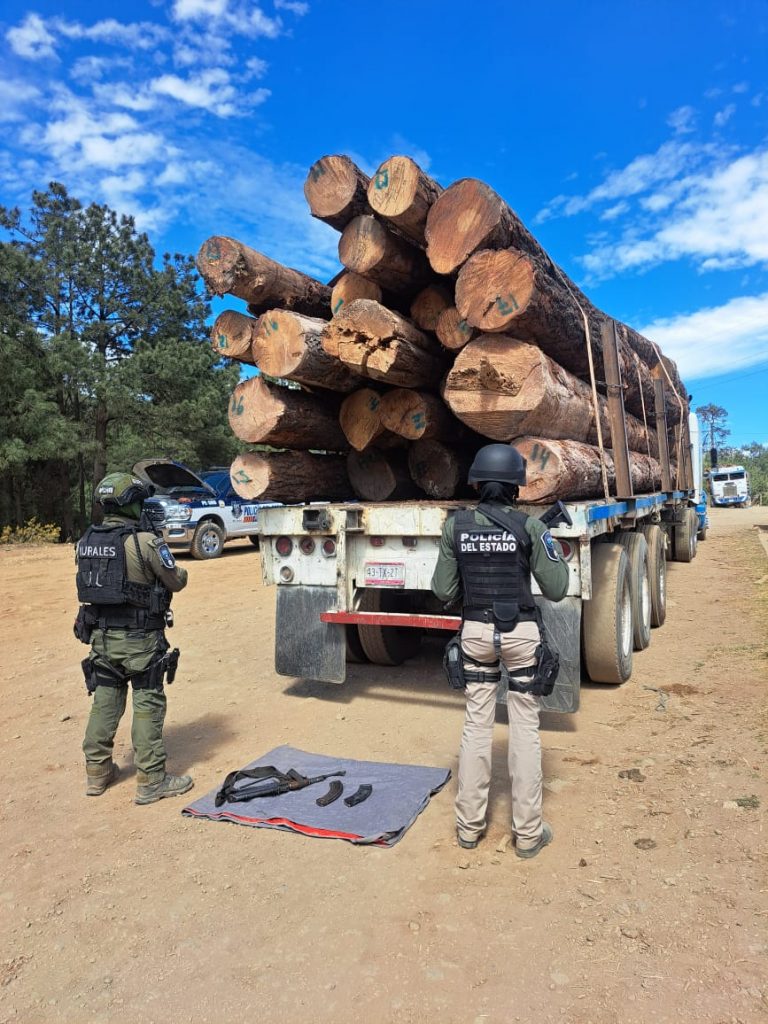 Asegura Policía Forestal  tractocamión con madera y un arma de fuego en Guadalupe y Calvo