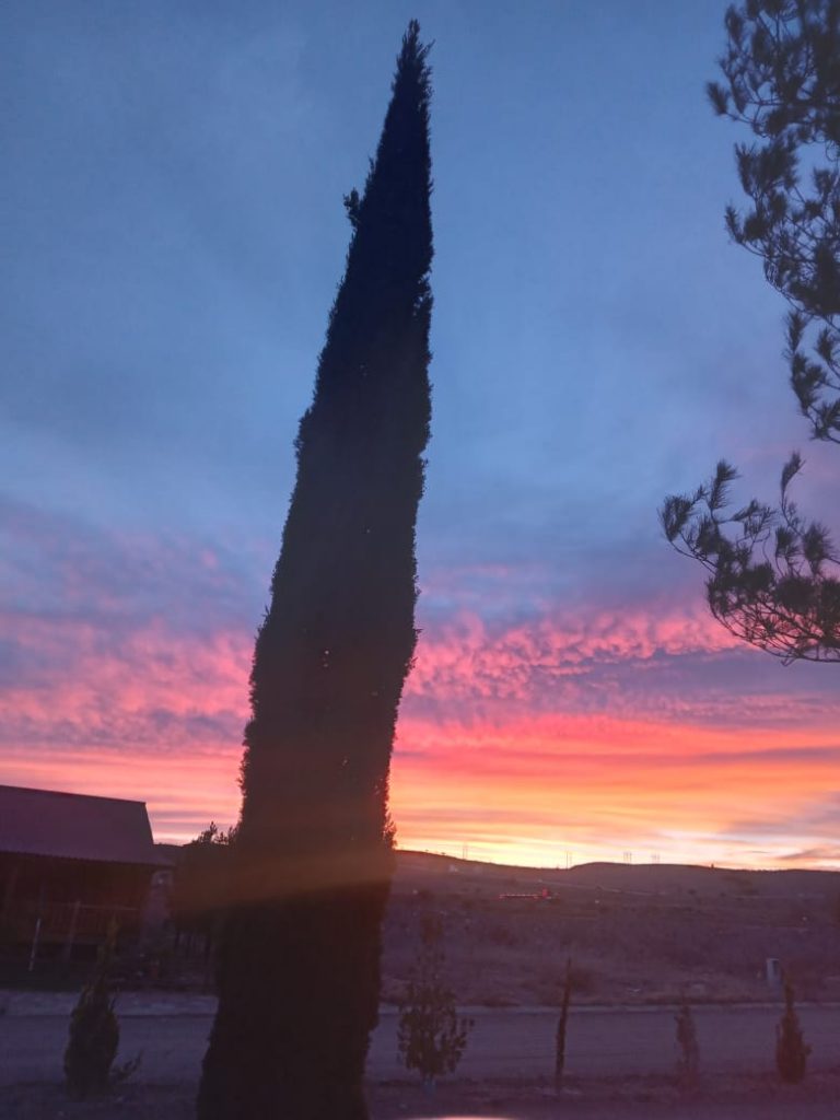 Fuertes vientos y temperaturas cálidas para este lunes