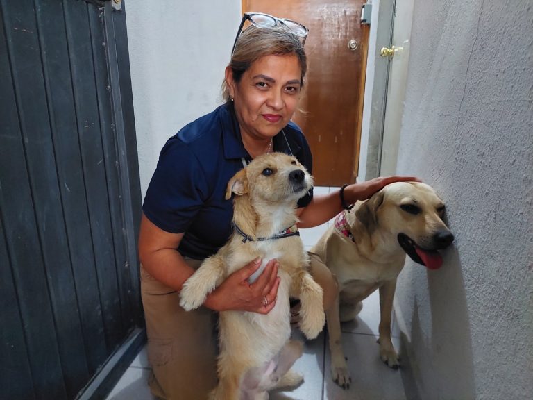 Adoptan policías municipales a tres perritos